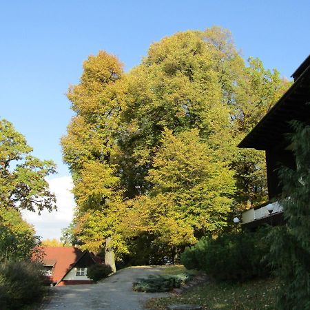 Sola Gratia Hotel Bystrice pod Hostynem Exterior photo